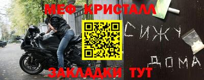 прущие грибы Ставрополь